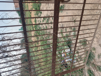 Farm House for Sale in Sector 150, Noida (2000 Sq. Meter)