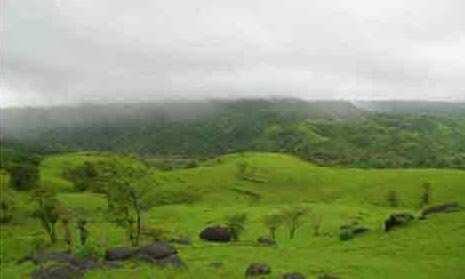 68 Accer Agriculture Land Sell in Tala - Raigad