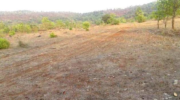 Agriculture Plot Sell in Roha - Ghosala Village