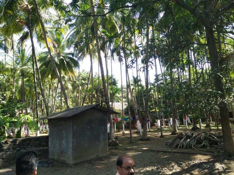 32 guntha land for sell at akshi beach