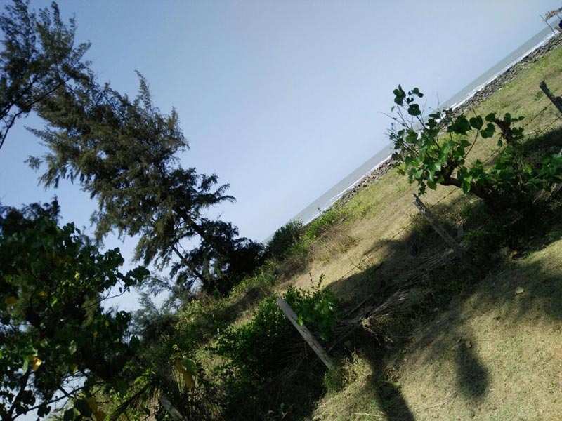 60 Guntha Sea Touch Plot for Sell At Akshi Beach for Just16 Lc/ Guntha