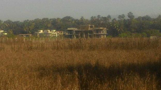 72 guntha farm land sll near poinad alibaug