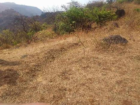 Agricultural/Farm Land for Sale in Maharashtra
