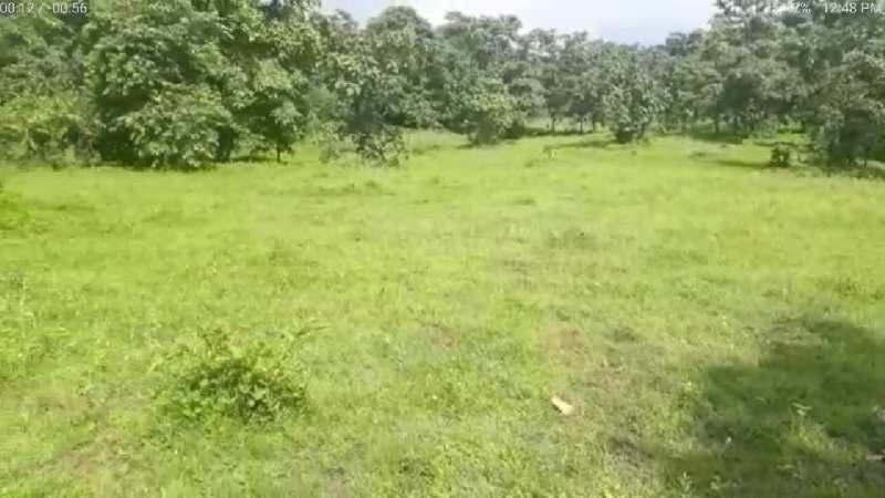 plot for sell near pali