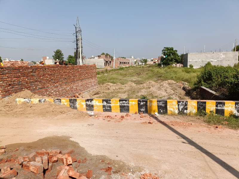 1262 Sq.ft. Residential Plot for Sale in Verka Milk Plant, Jalandhar