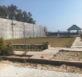 Plot For Sale {4.34 Marla} Nearby Rama Mandi Jalandhar!!