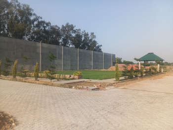 RESIDENTIAL PLOT FOR SALE IN JAL NEAR RAMA MANDI!!