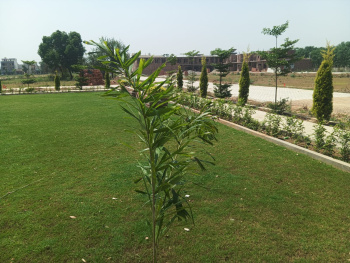RESIDENTIAL 4.34 Marla Plot Available In Dream Town Colony, Jalandhar