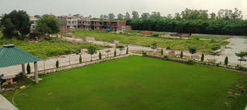 Best Residential Plots For Sale In Jal Nearby Rama Mandi!