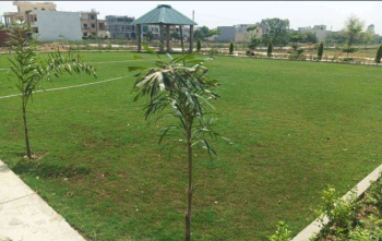 5.66 Marla Residential Plot/Land For Sale, Near Rama Mandi, Jalandhar.