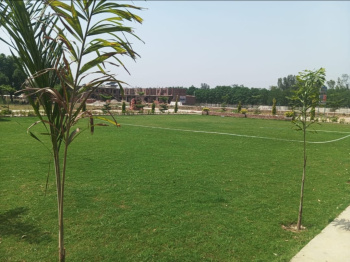 Property for sale in Rama Mandi, Jalandhar