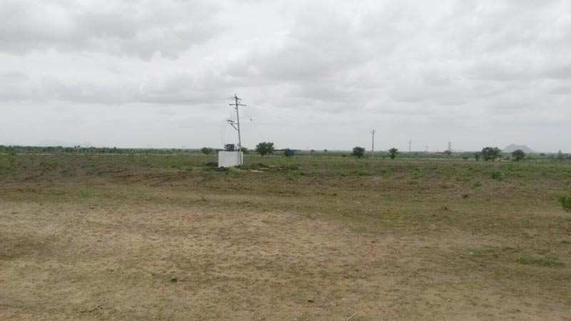 100 Ares Agricultural/Farm Land for Sale in Kaimganj, Fatehgarh