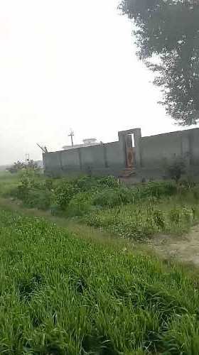 60 Ares Agricultural/Farm Land for Sale in Kaimganj, Fatehgarh