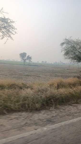 13 Acre Agricultural/Farm Land for Sale in Sohna Palwal Road, Gurgaon