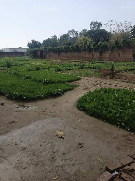 FARM LAND FOR SALE IN KAPASHERA ESTATE