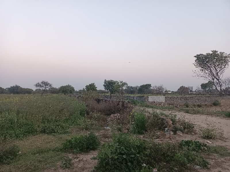 FARM LAND FOR SALE IN BADUSARAI DELHI