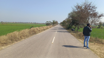 Property for sale in Dadri Road, Jhajjar