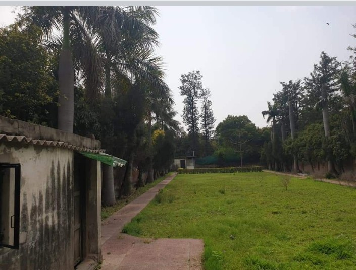 4500 Sq. Yards Agricultural/Farm Land for Sale in D Block Kapas Hera Estate, Kapashera, Delhi