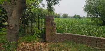 Property for sale in Jhatikara, Najafgarh, Delhi