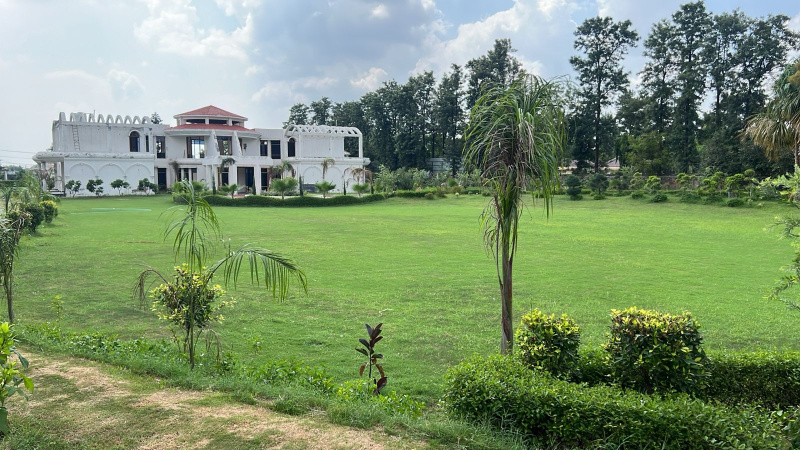3 BHK Farm House for Sale in Paprawat, Delhi (20000 Sq.ft.)
