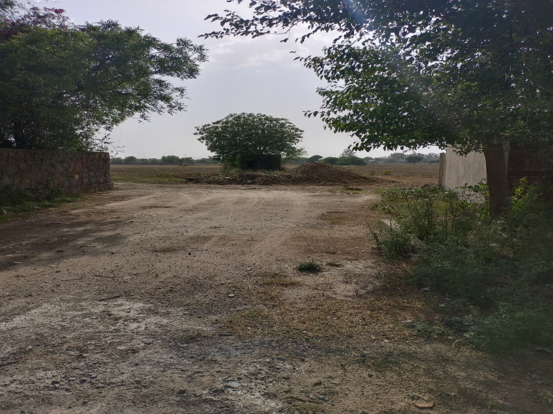 2.15 Acre Agricultural/Farm Land for Sale in Kangan Heri, Delhi
