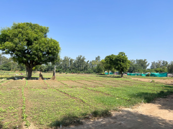 3 Acre Agricultural/Farm Land for Sale in Badusarai, Delhi
