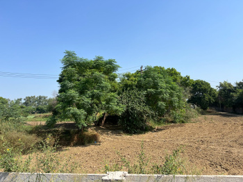 5 Acre Agricultural/Farm Land for Sale in Bijwasan, Delhi