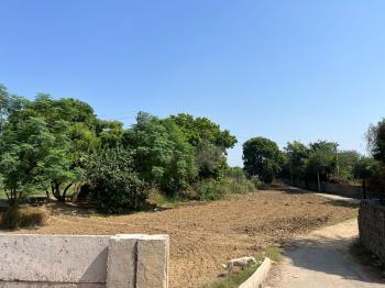 Property for sale in Raghopur, Delhi