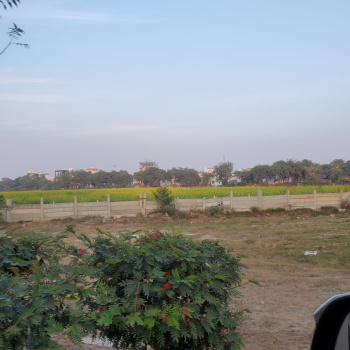 1100 Sq. Yards Agricultural/Farm Land for Sale in Bijwasan, Delhi