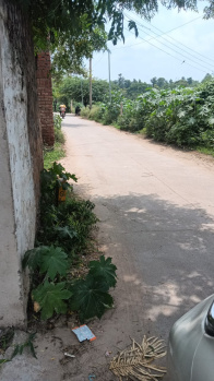 FARM LAND FOR SALE IN WESTERN GREEN FARM