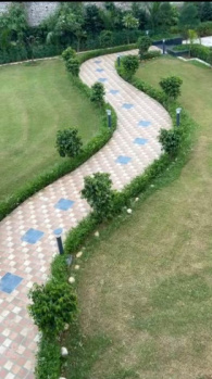 Beautyfull farm developed farm in sadrana for sale