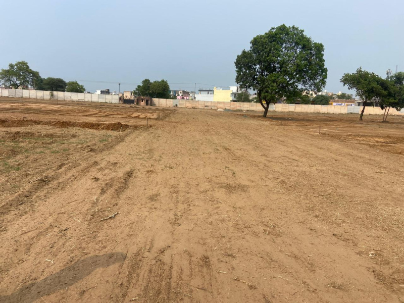 Agriculture land for sale in pandwala kalan