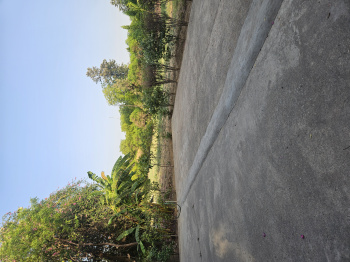 1000 sqyd plot for sale in t block new palam vihar