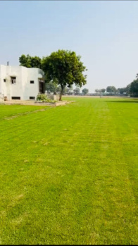 4 Acre Agricultural/Farm Land for Sale in Najafgarh Road, Delhi