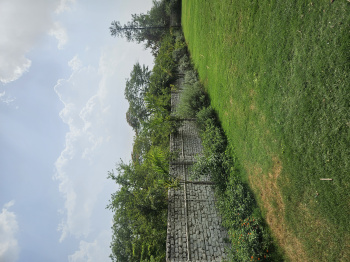 3 Acre Agricultural/Farm Land for Sale in Chhawla, Delhi