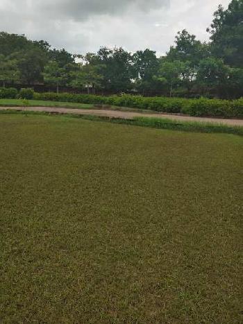 1 Acre Agricultural/Farm Land for Sale in Kangan Heri, Delhi