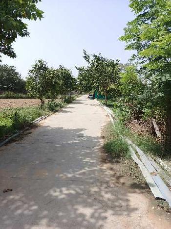 Agriculture farm land for sale in bijwasan
