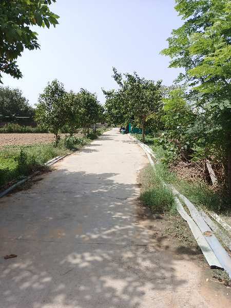 Agriculture farm land for sale in bijwasan