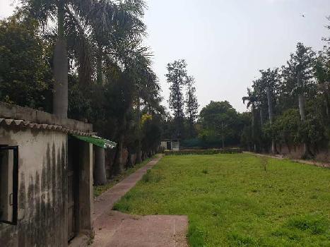 1300 Sq. Yards Agricultural/Farm Land for Sale in West Delhi, Delhi