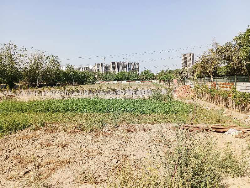 1350 Sq.ft. Residential Plot for Sale in Dwarka, Delhi