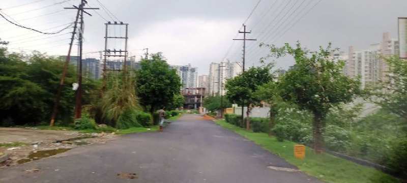Govt Approved Noida Authority Plots