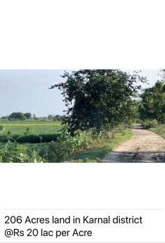 210 Acre Agricultural/Farm Land for Sale in Haryana