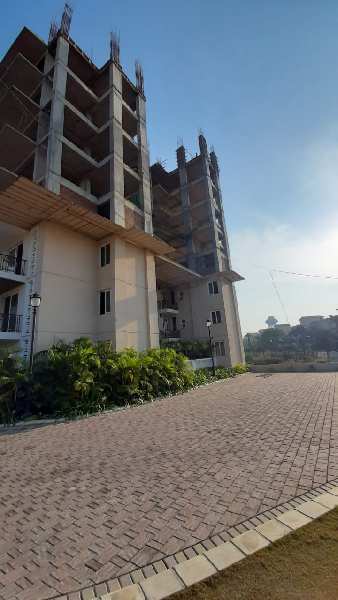 4 BHK Flats & Apartments for Sale in New Chandigarh, Chandigarh (1700 Sq.ft.)