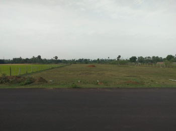 4 Bigha Agricultural/Farm Land for Sale in Dankaur, Gautam Buddha Nagar