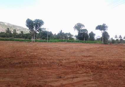Available Residential Plot For Sale in Rohtak
