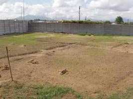 265 Sq Yard Residential Plot For Sale in Rohtak
