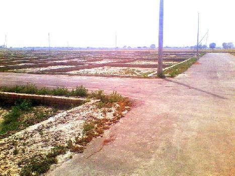 Residential Plot For Sale In Amrit Colony Rohtak. Near Sunaria Chowk
