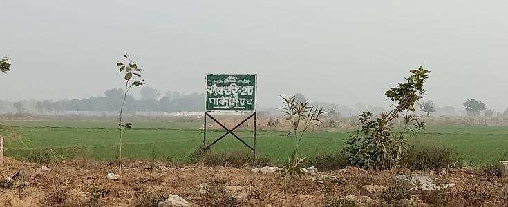 500 Sq. Meter Residential Plot for Sale in Yamuna Expressway, Greater Noida