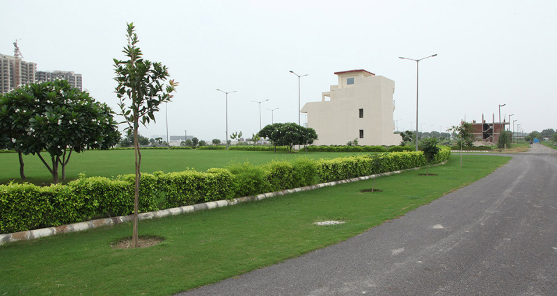 145 Sq. Yards Residential Plot for Sale in Yamuna Expressway Yamuna Expressway, Greater Noida