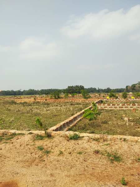 Gharabari plot sale in Gudiapokhari